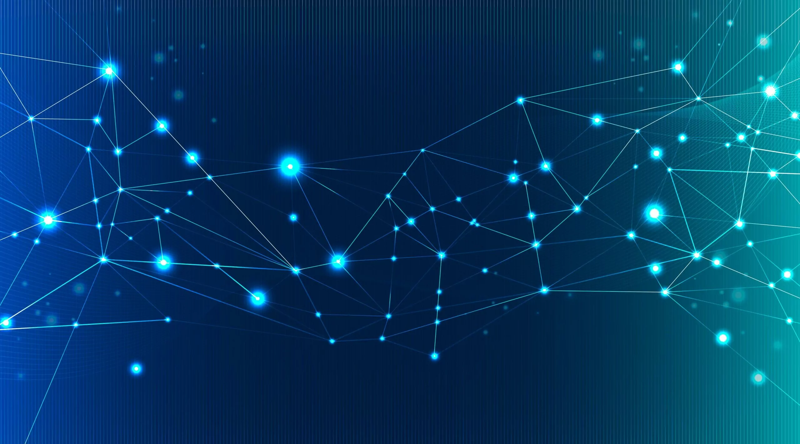network documentation